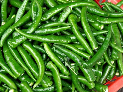 organic-fresh-green-chilli-122